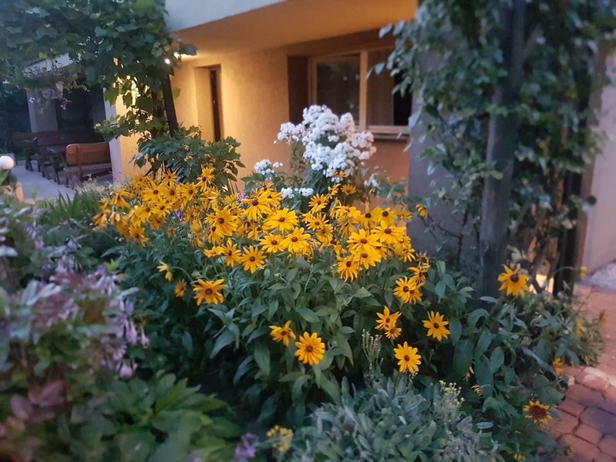 Noclegi Silesia Tychy Exterior foto